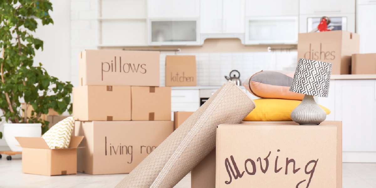 07a9fa6449f6f81a4f1dc7d8dacb21ba